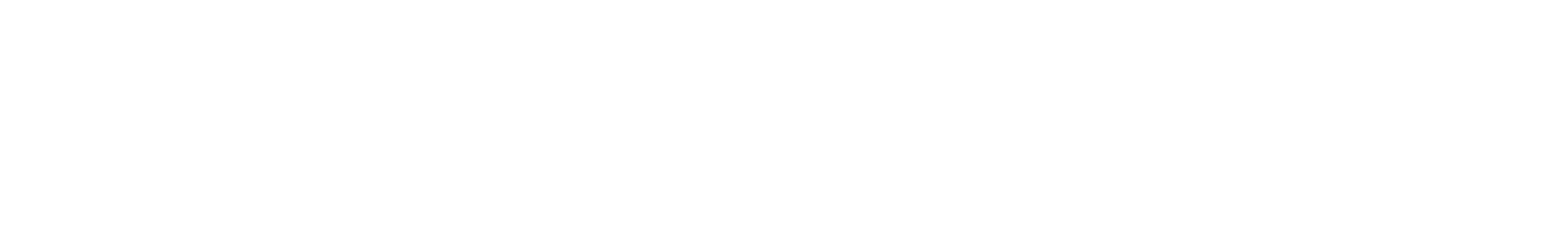 footer-logo