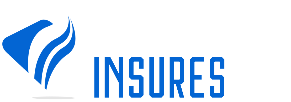 EverythingInsures - Comprehensive Insurance Solutions