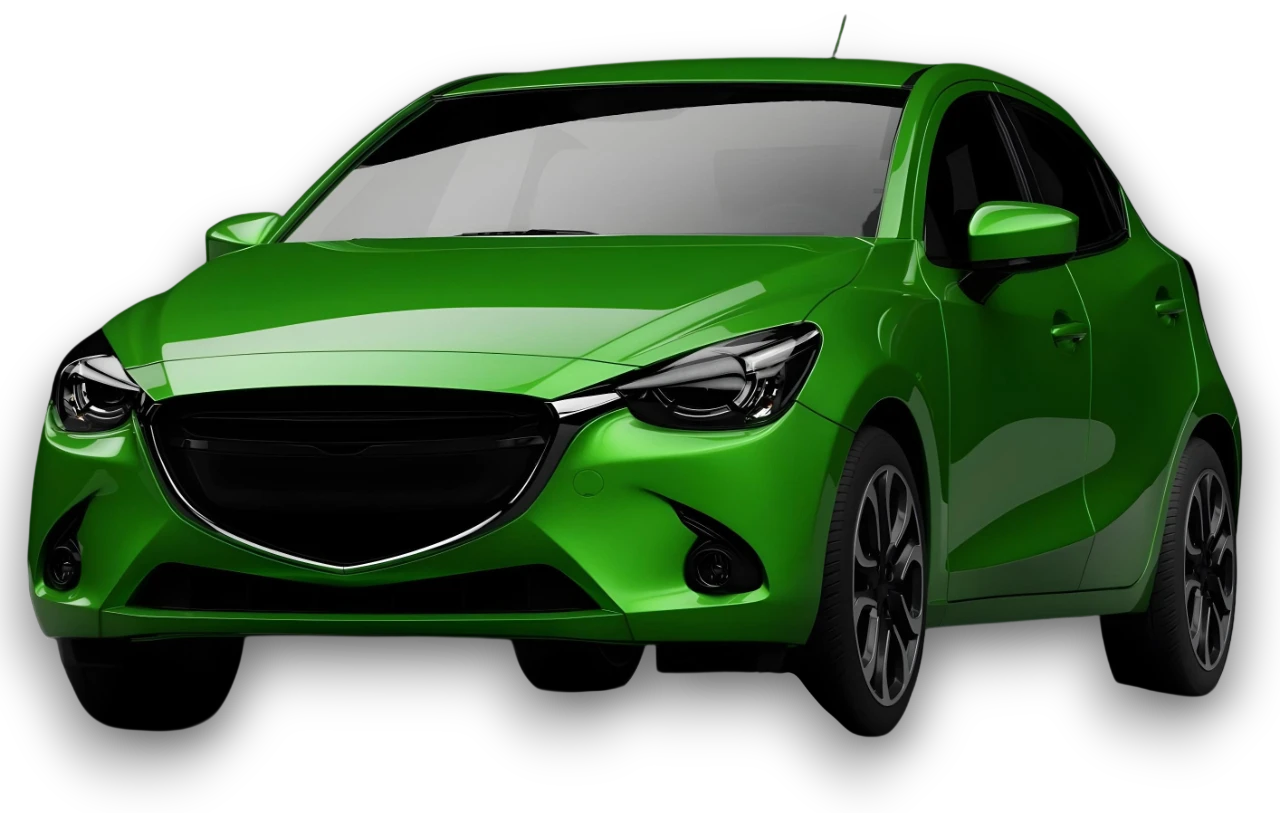 Professional driver with car